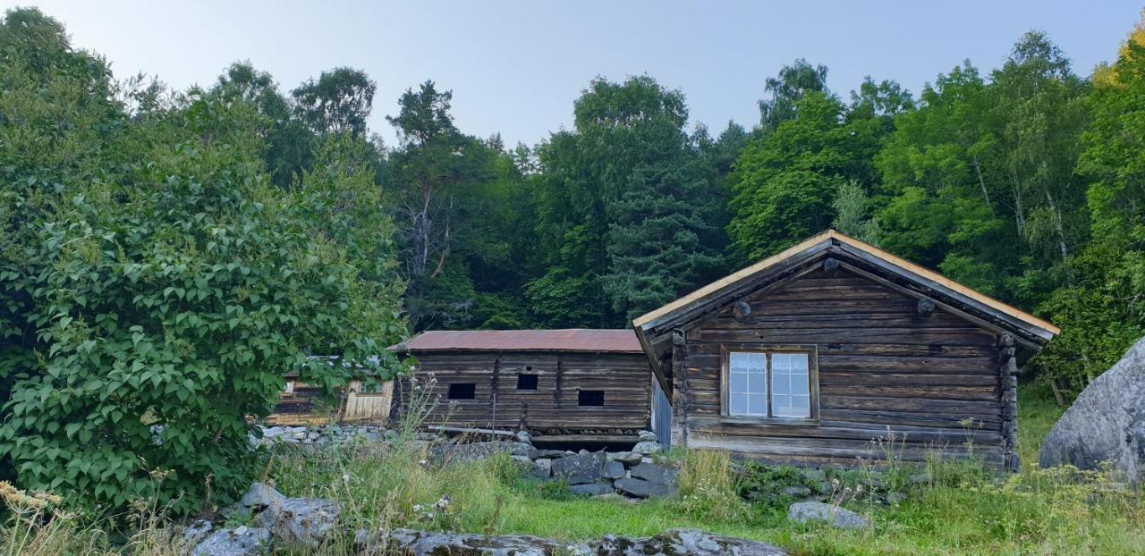 Leilighet 6 Dalen Dış mekan fotoğraf